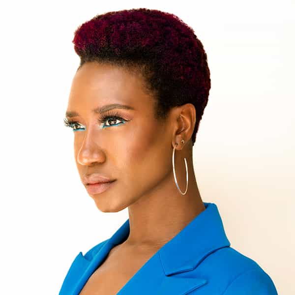 Farouk Systems Chi Haircare LG Color Master Factory Technicolor Collection