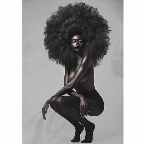oneshot winner north american cassiecarey.hair competition