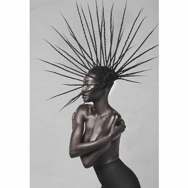 oneshot winner north american cassiecarey.hair competition