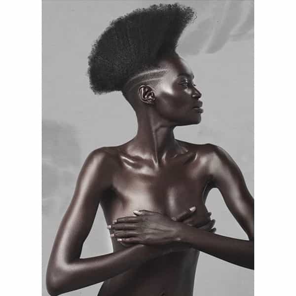 oneshot winner north american cassiecarey.hair competition
