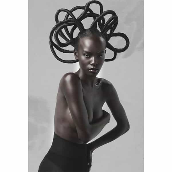 oneshot winner north american cassiecarey.hair competition