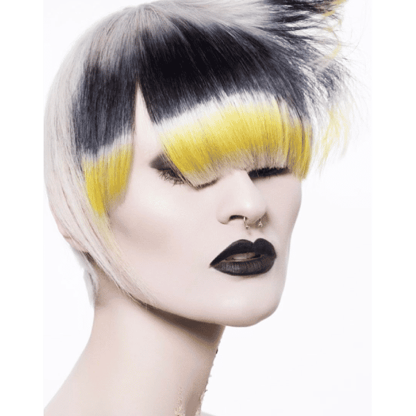 Creative Color Shot north american winner entry by hairstylist @leahfreeman1 for the 2017 #ONESHOT Hair Awards Big Shot