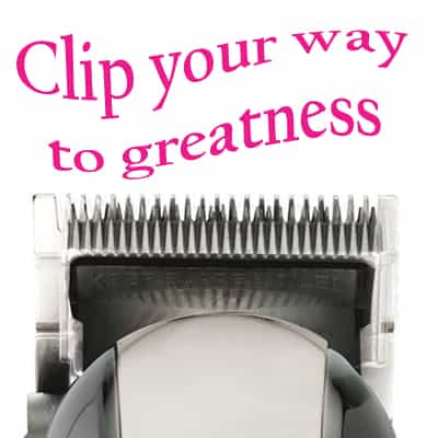 wähl clipper cliphappy_orig