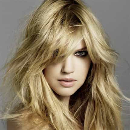 YT_Shagg03_020_FLAT__orig_large