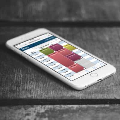 Rosy Salon Software Mobile Web App