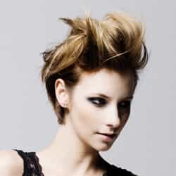 26855Stella Final 2_orig