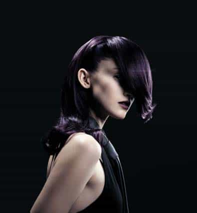 4837Violine_orig