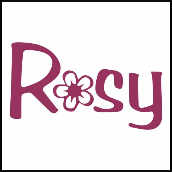 Rosy Salon Software