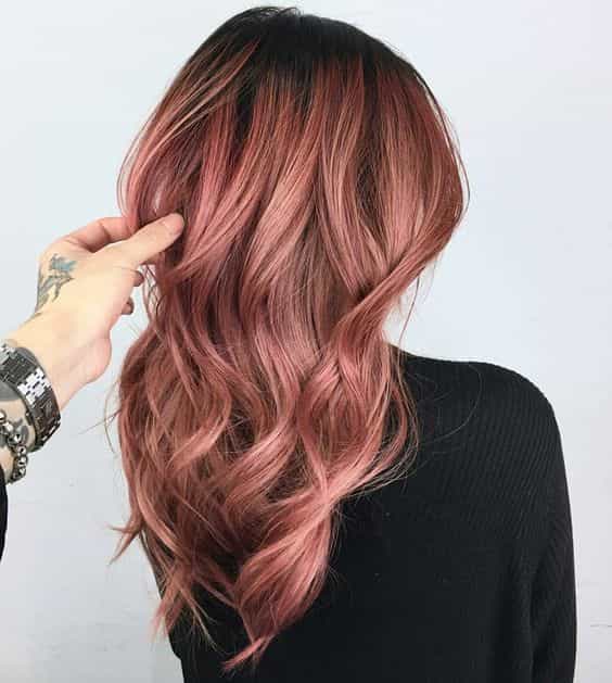 rose brown