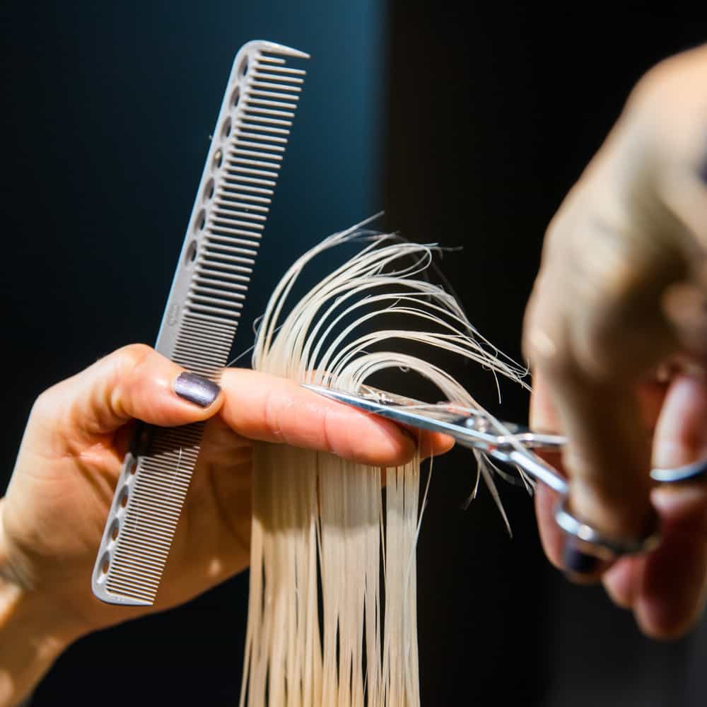 wisconsin-license-hands-in-hair