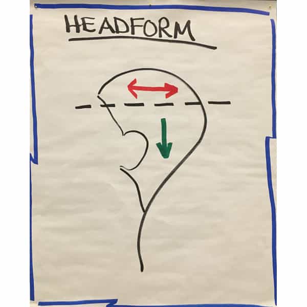 head-form-color-placement