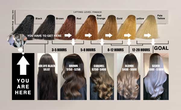 hai-tran-black-to-blonde-guide-high-res-1