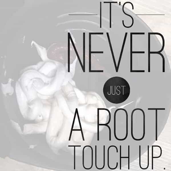 gray-coverage-root-touch-up-article-2