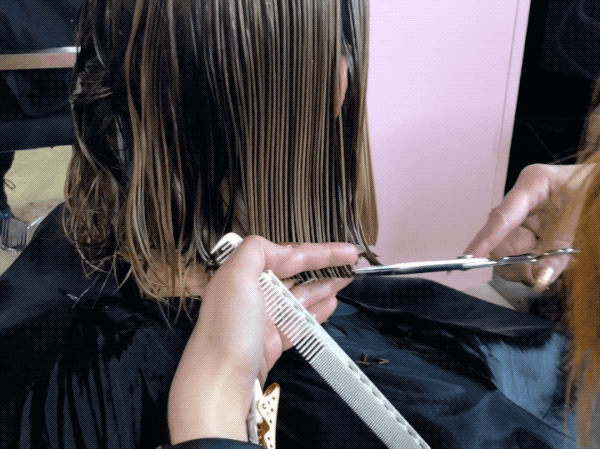 ARC Scissors Megan Schipani @shmeggsandbaconn Bobs Lobs Cutting Tips Cut Perfect Perimeter