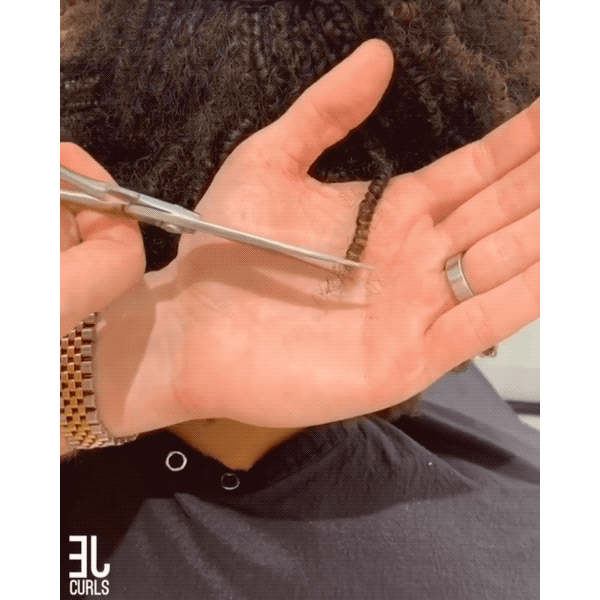 Evan Joseph @evanjosephcurls How Precision Cutting Works Why It's Ideal For Curly Hair Curls Cuts Technique Article