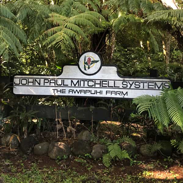 John-Paul-Mitchell-Systems-Awapuhi-Farm-Hawaii-2