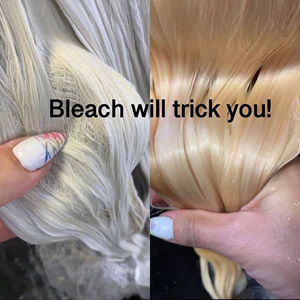 @jacqui.swan_More_You_Know_Article_1