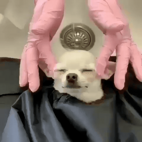 Treatments And Masks For Every Client In Your Chair