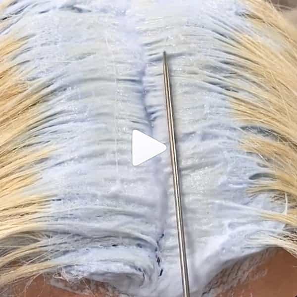 Platinum Bleach Outs Blonde Tips For Lightening Toning and Gloss @hairbychrissydanielle Processing Time