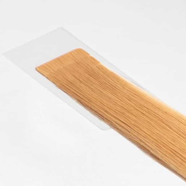 Standard Extensions
