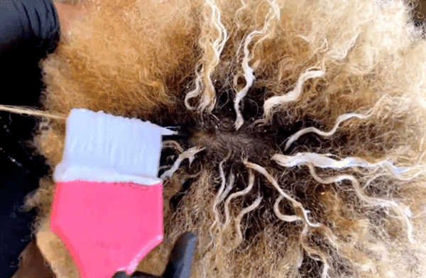curlfactor-olapex-btcu-pintura-highlights-feat