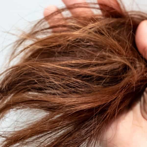 Zotos_Professional_Split_Ends_Wellphoria_1