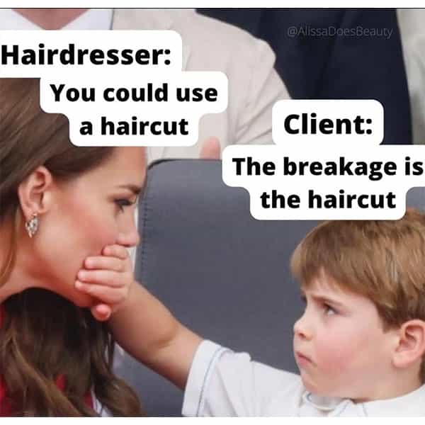 youcoulduseahaircut-alissadoesbeauty-meme-article