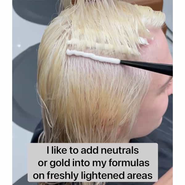 schwarzkopf-professional-josie-vilay-toning-secrets