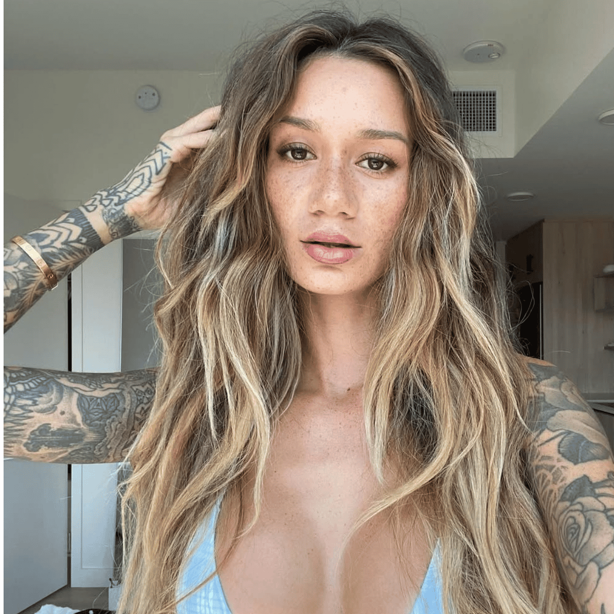 brunette ombre with long hair