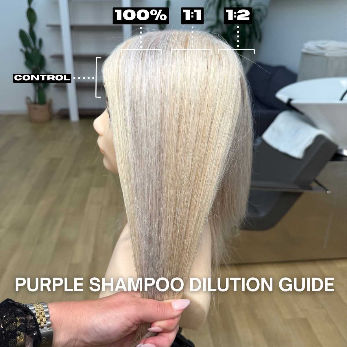 FINAL-FEAT-purple-shampoo-guide-carly-skp-1