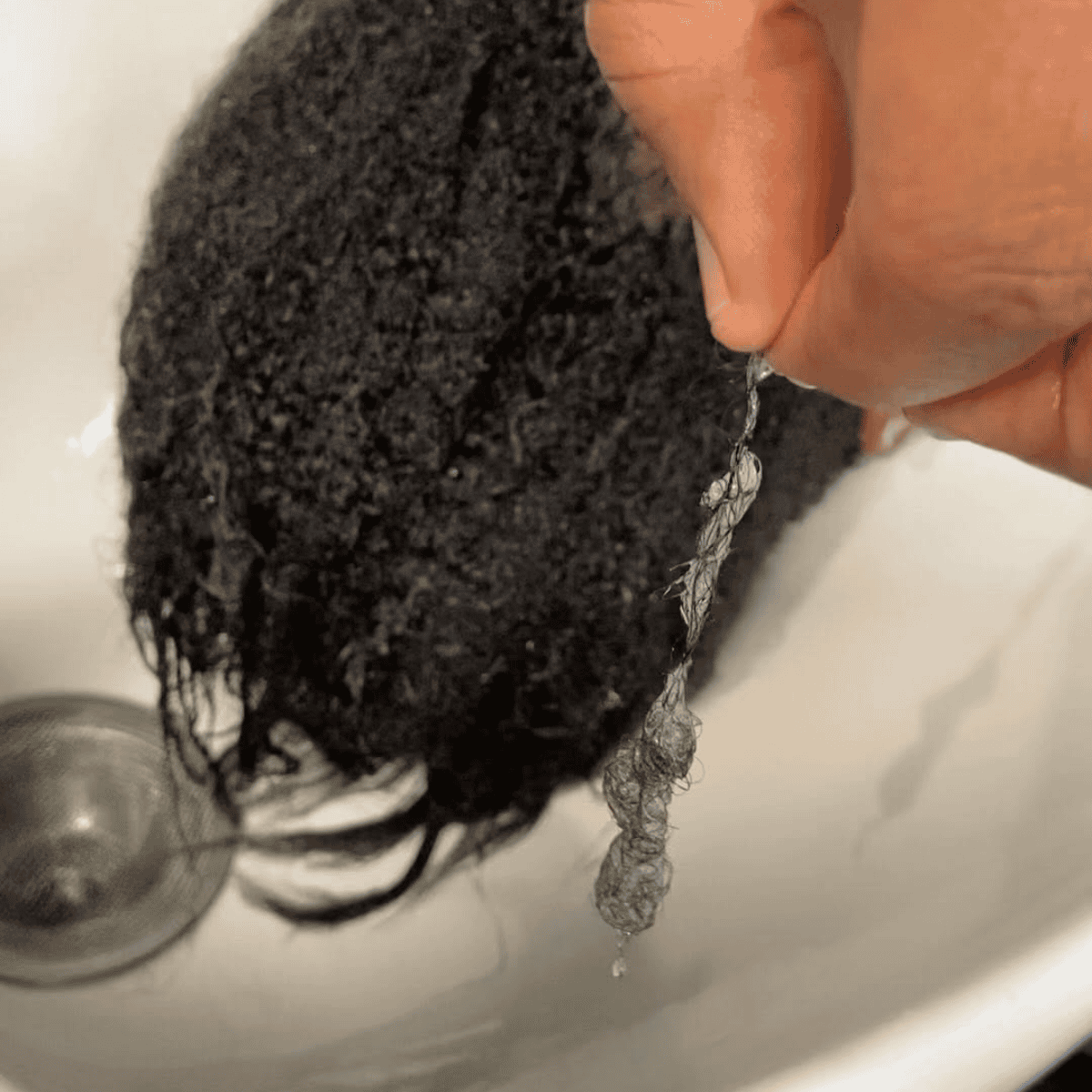 hair with hand holding some to show shedding/ hair loss