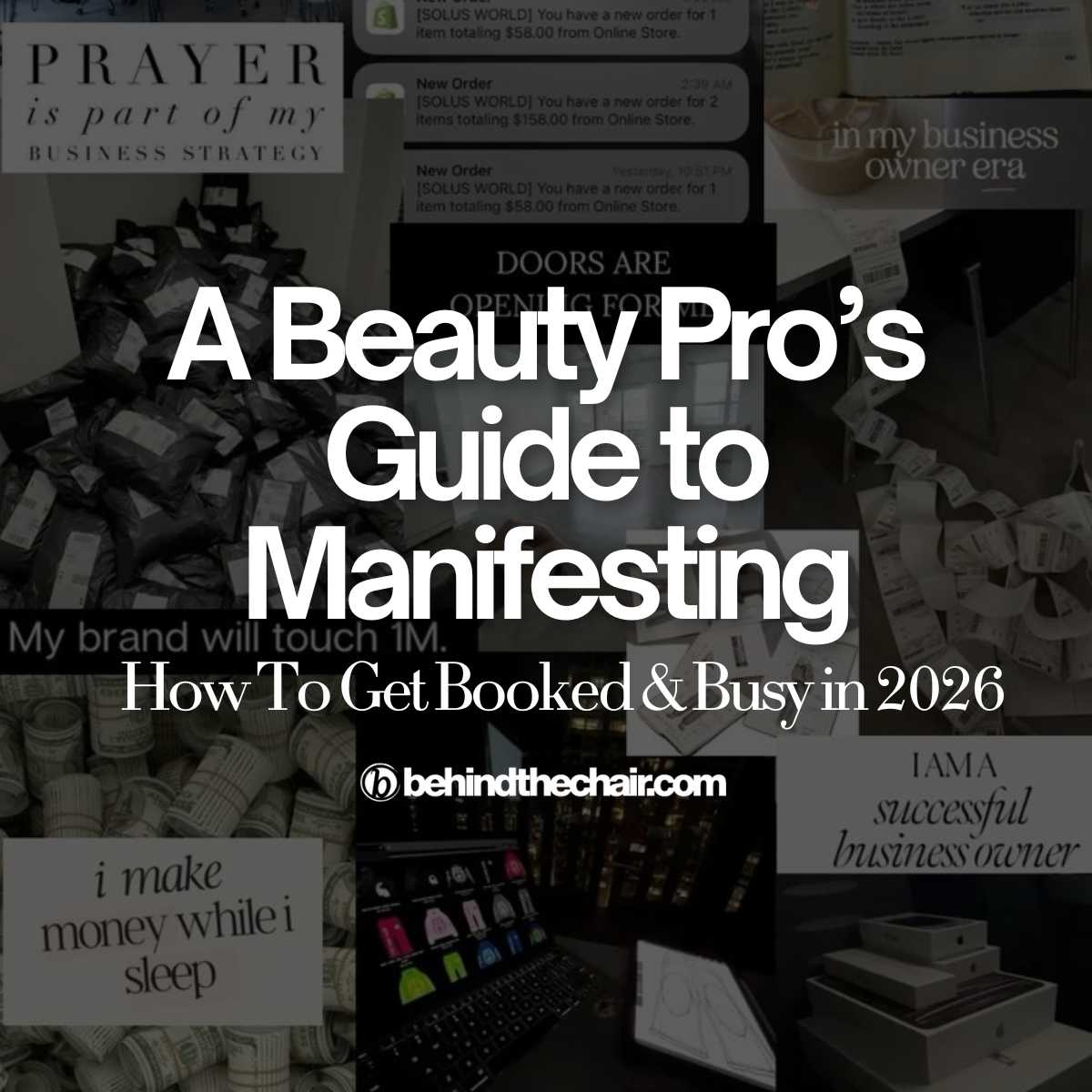 beauty pro's guide to manifesting