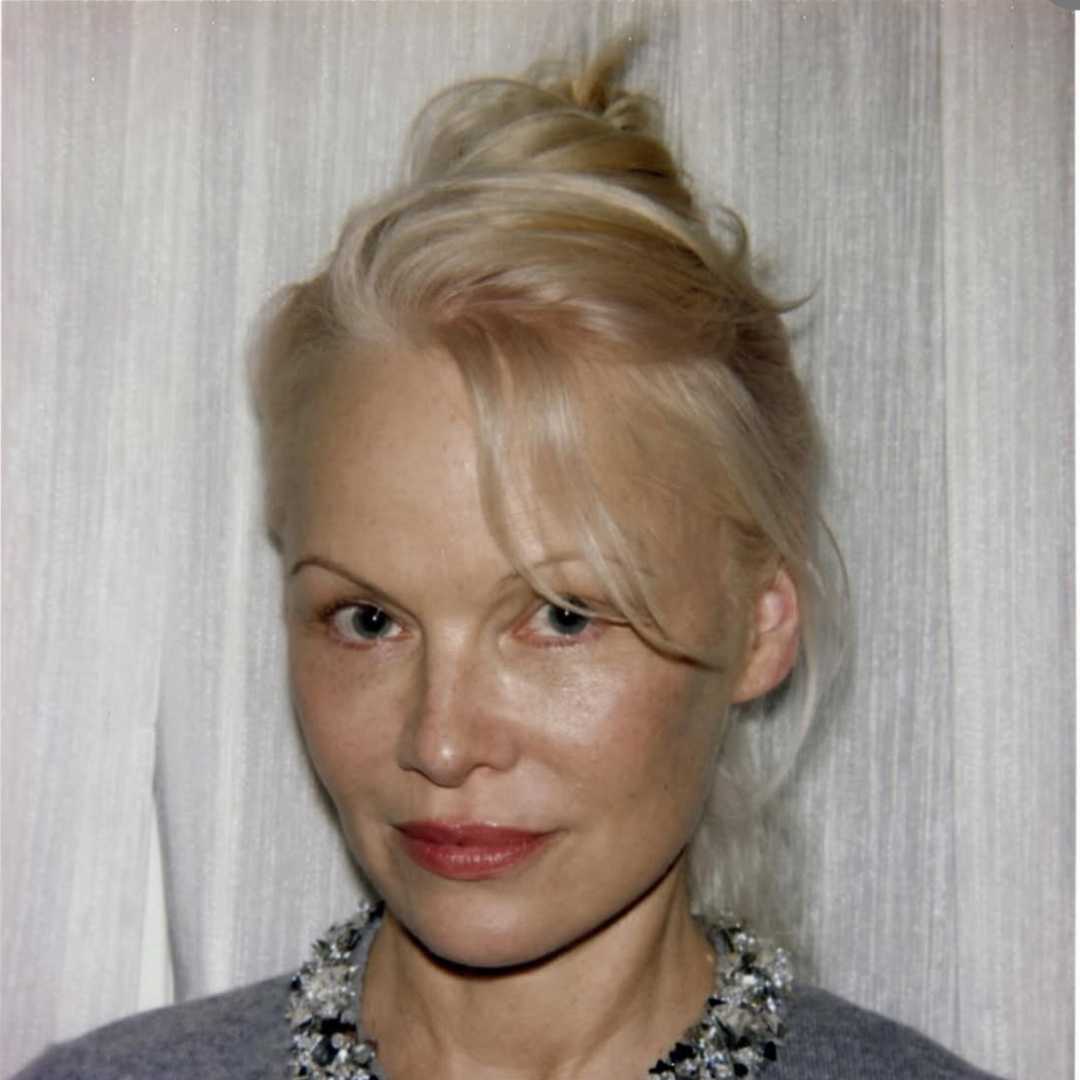 the modern french twist