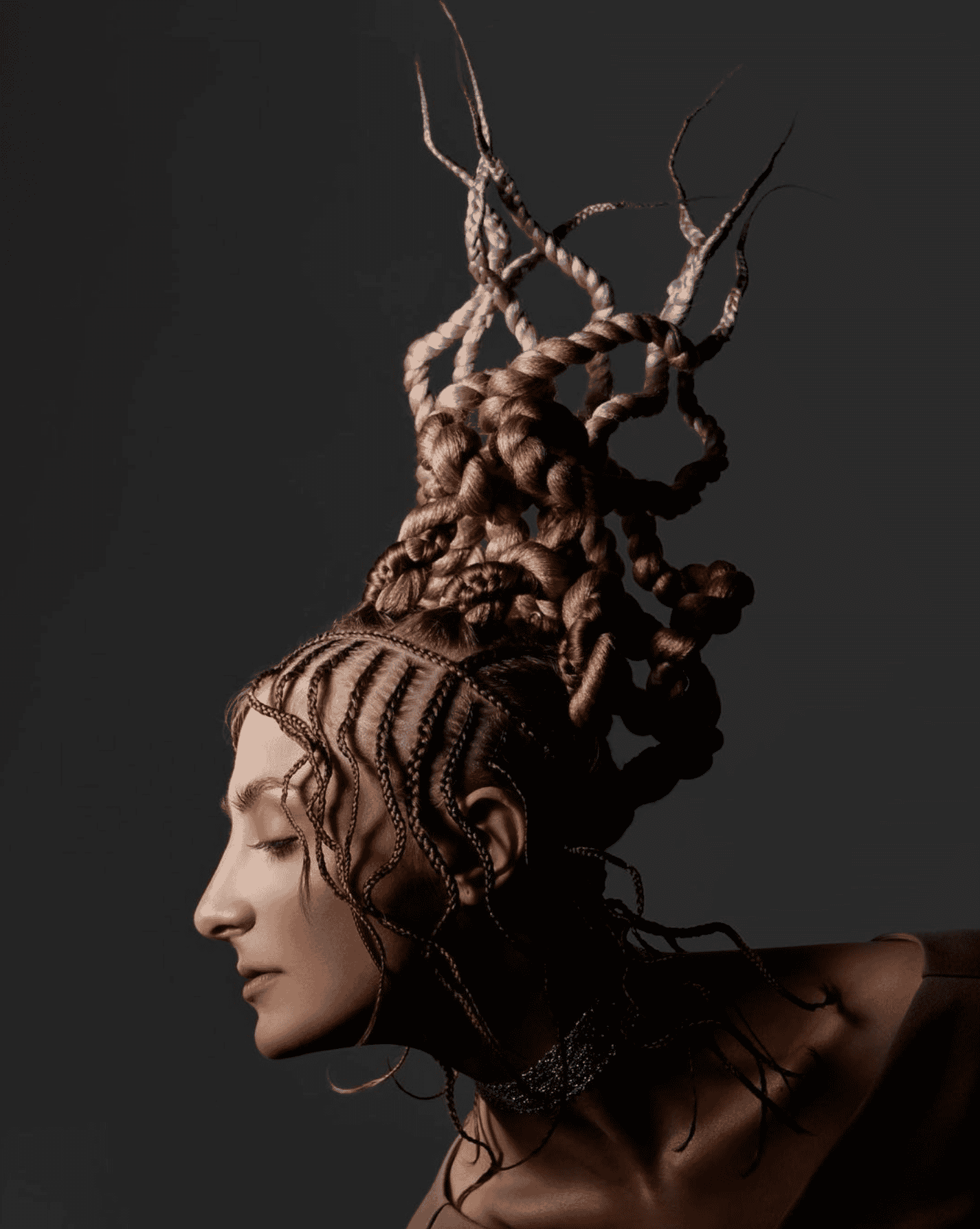 arbidan_braids