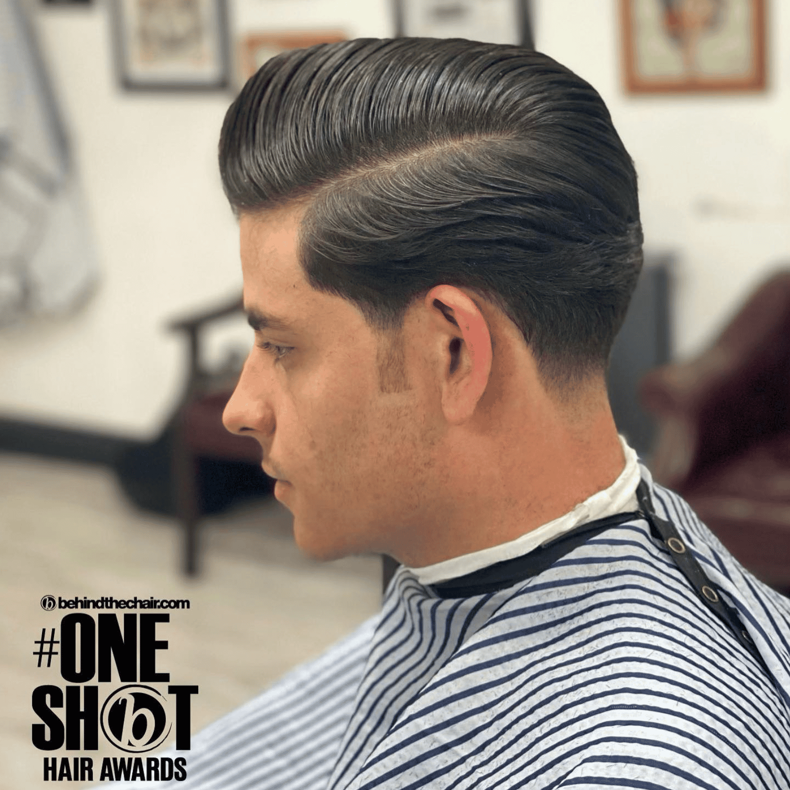 hamletshairtheory