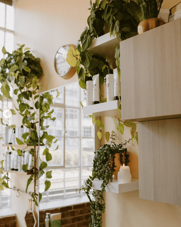 katelyn.harter.hairstylist