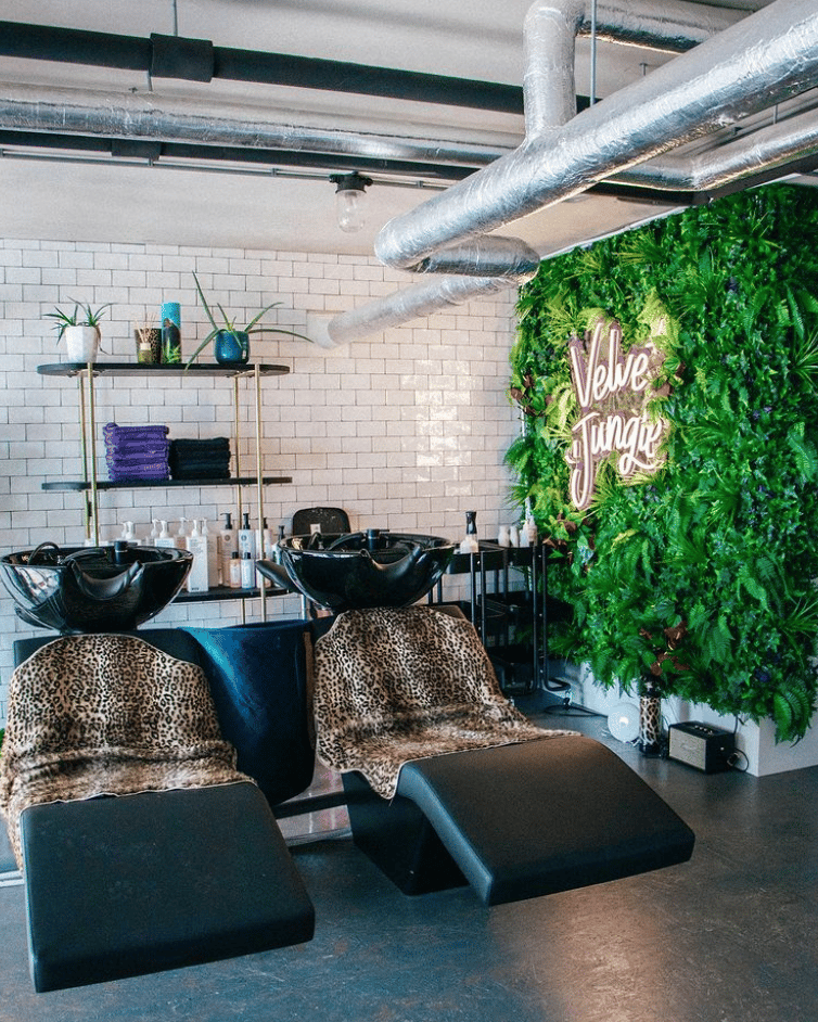 velvetjunglehairsalon