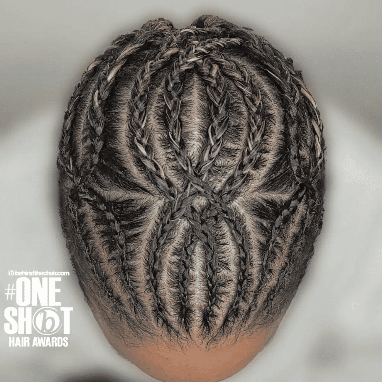 @styles_by_anna_ — Intricate Braids & Twists ONESHOT Hair Awards entry