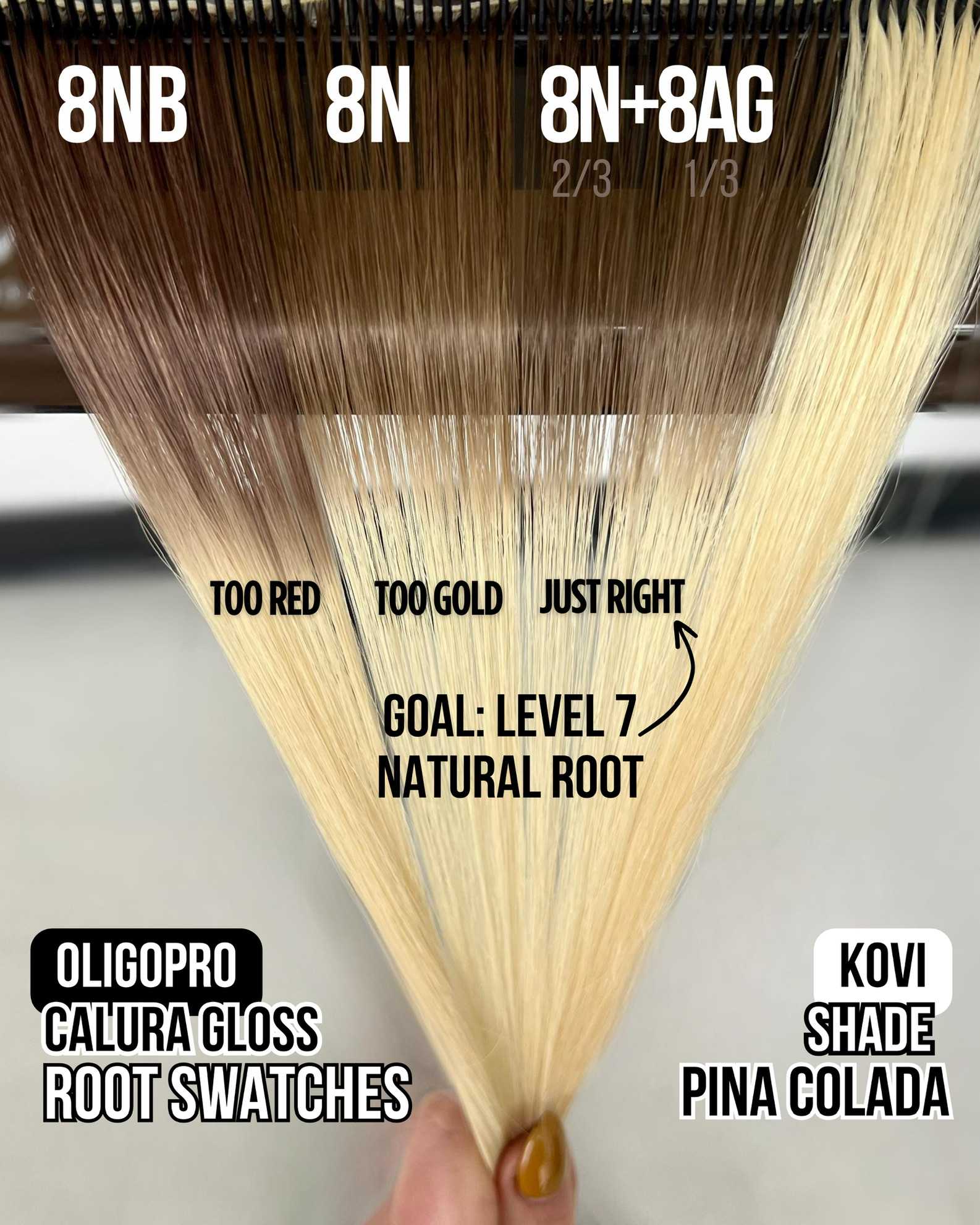 Ali Romano — Educational Post ONESHOT Hair Awards entry