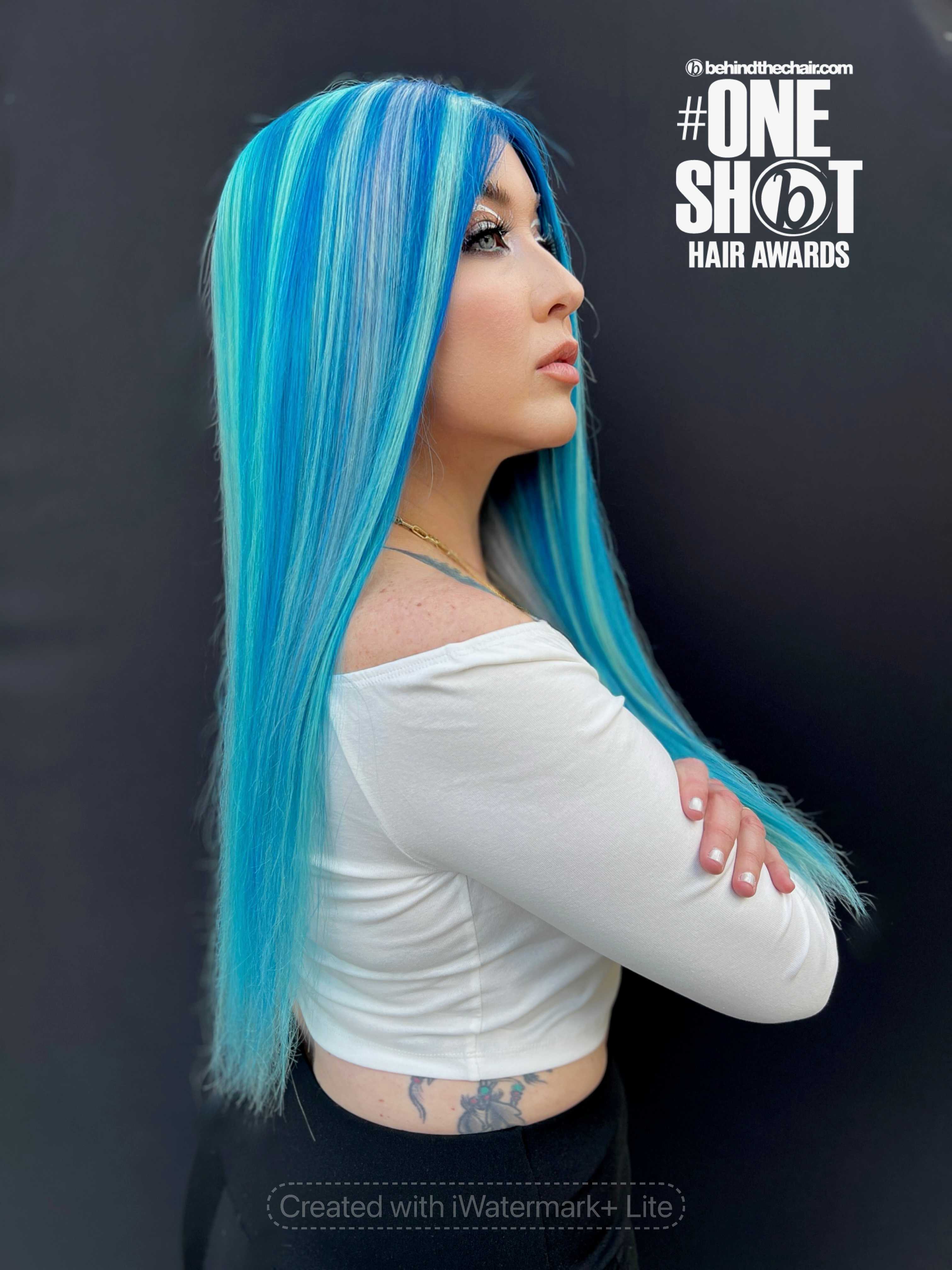 Neal Malek — Creative Color ONESHOT Hair Awards entry