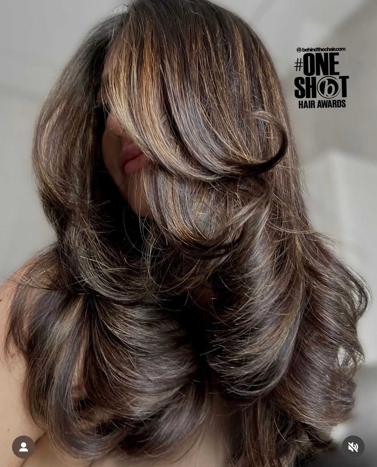 Abbe Kierstein — Brunettes ONESHOT Hair Awards entry