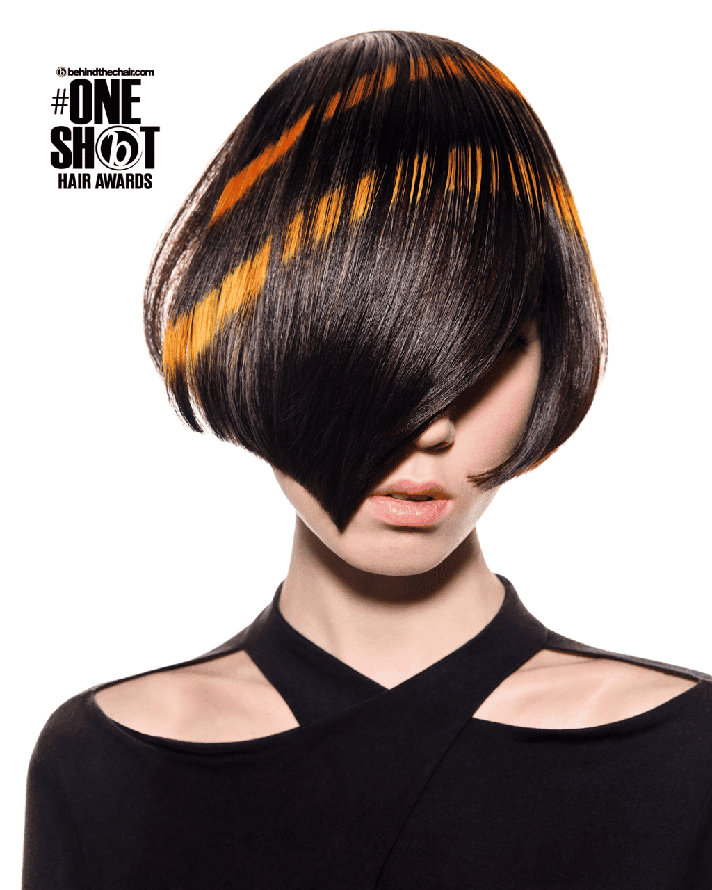 Alexey Osipchuk — Hair Color Collection ONESHOT Hair Awards entry