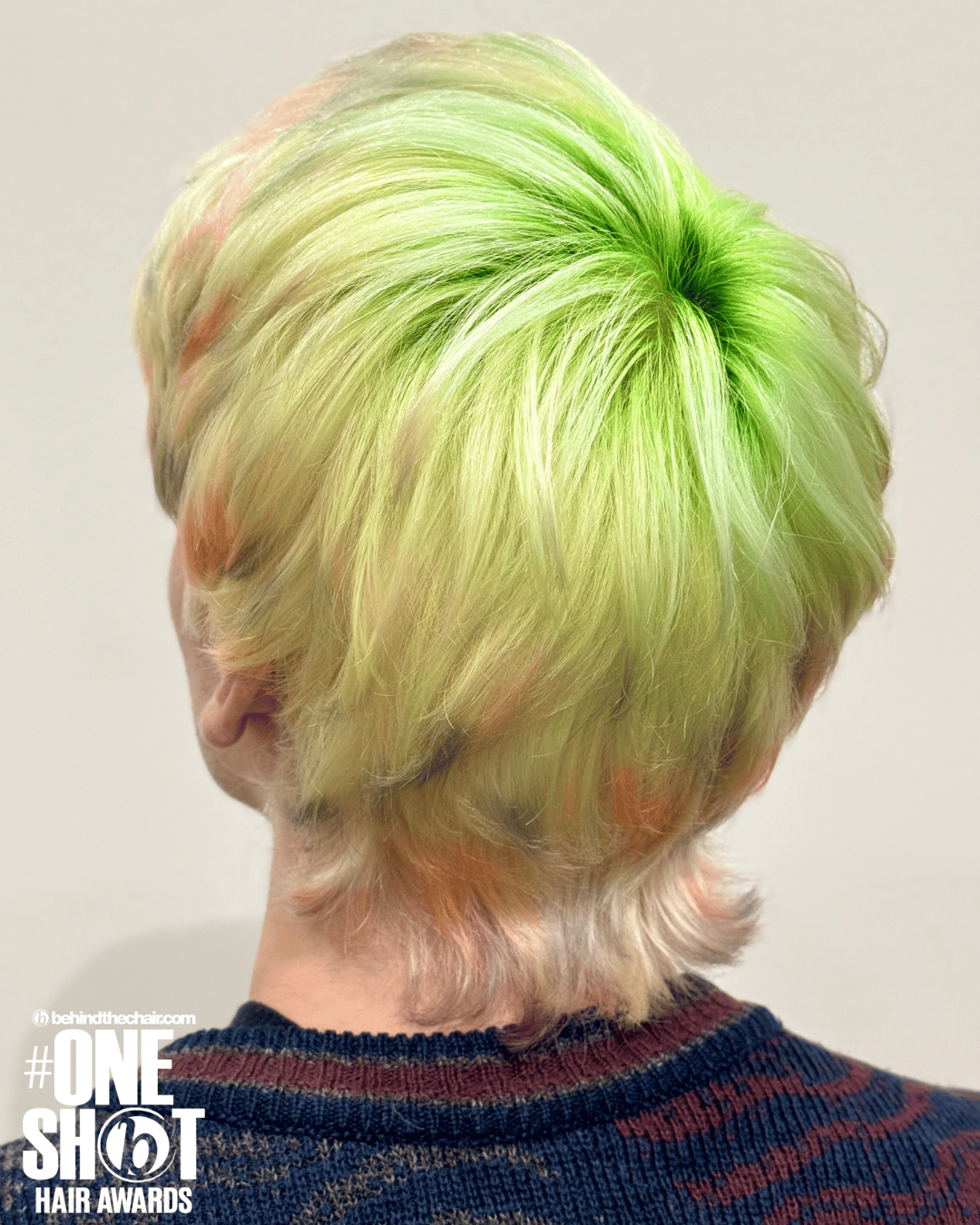 Zxyro J — Men's Color ONESHOT Hair Awards entry