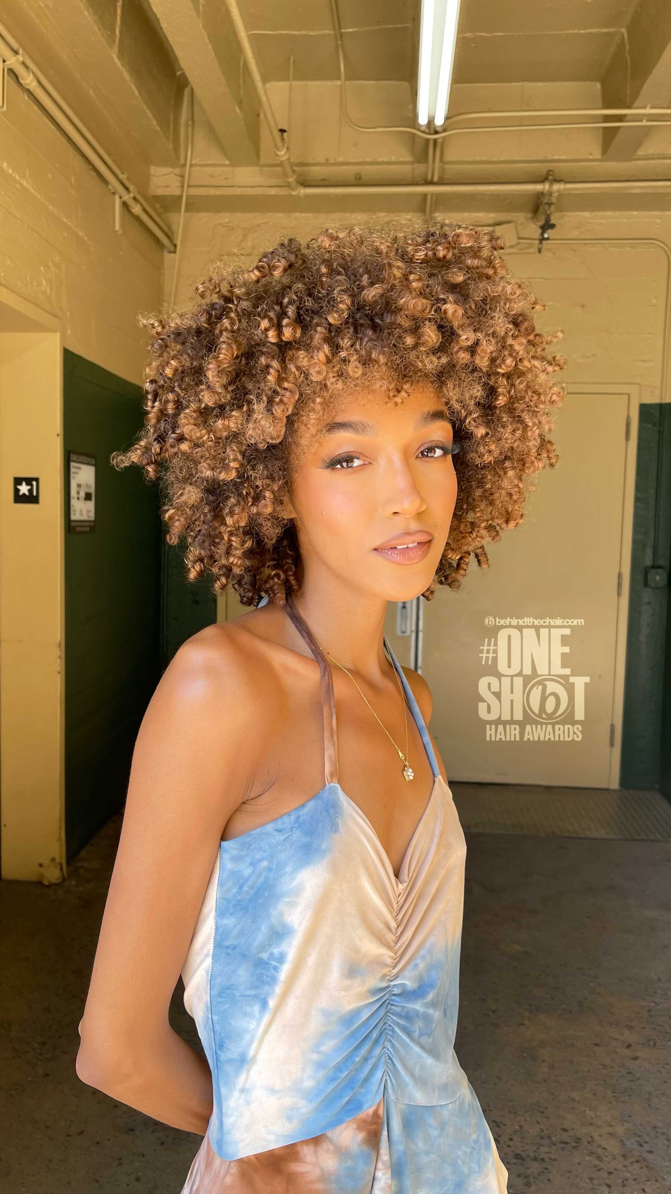 Jeannetta Walker-Rodgers — Warm Balayage ONESHOT Hair Awards entry