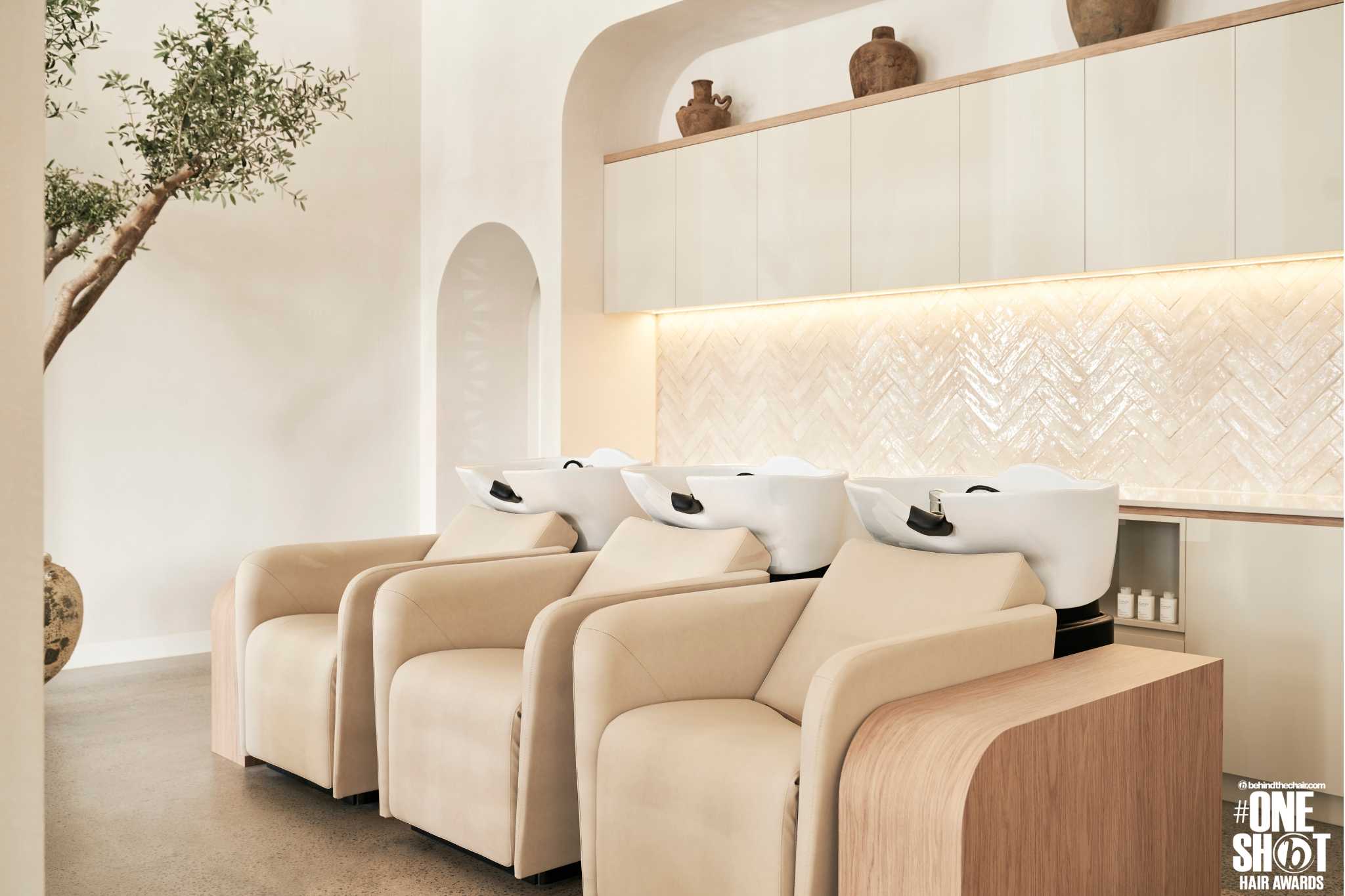 Saranya Lee — Salon Decor ONESHOT Hair Awards entry
