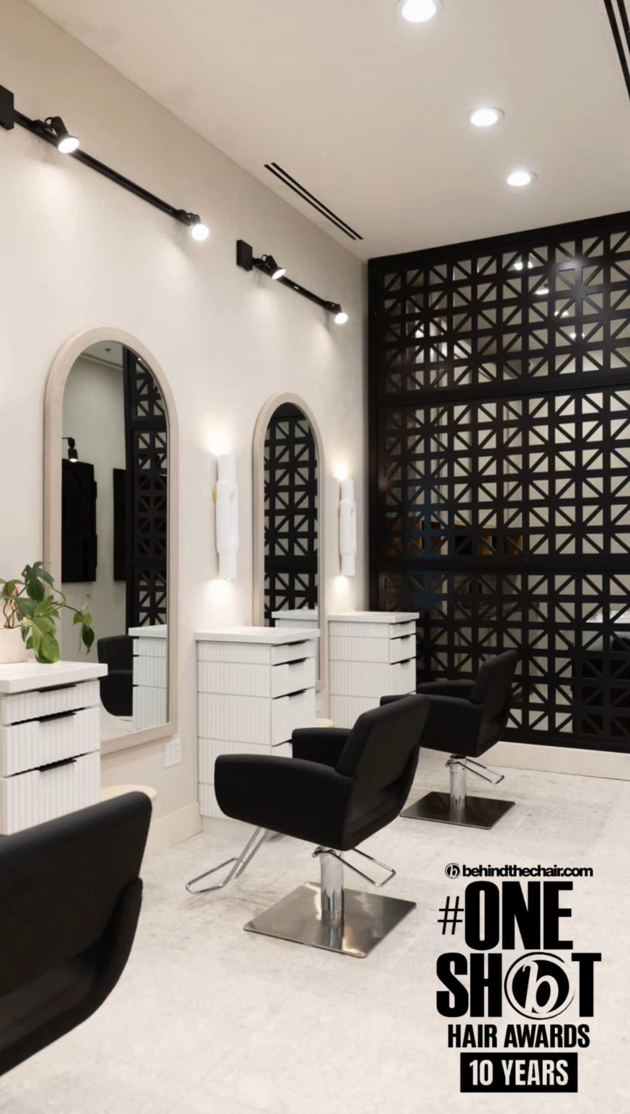 Alanah Kenyon — Salon Decor ONESHOT Hair Awards entry