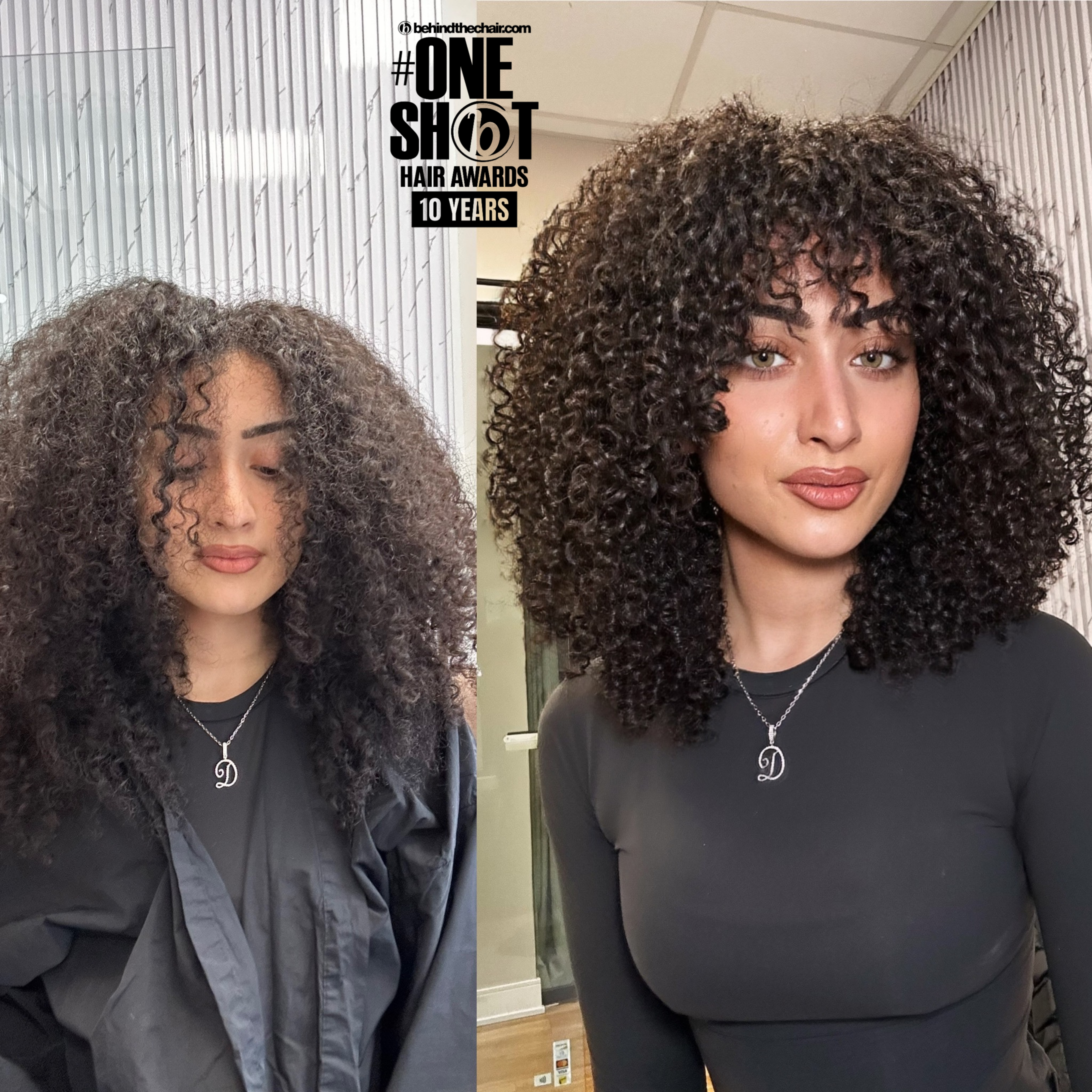 Zenaida Mujkanovic — Cut Transformation ONESHOT Hair Awards entry