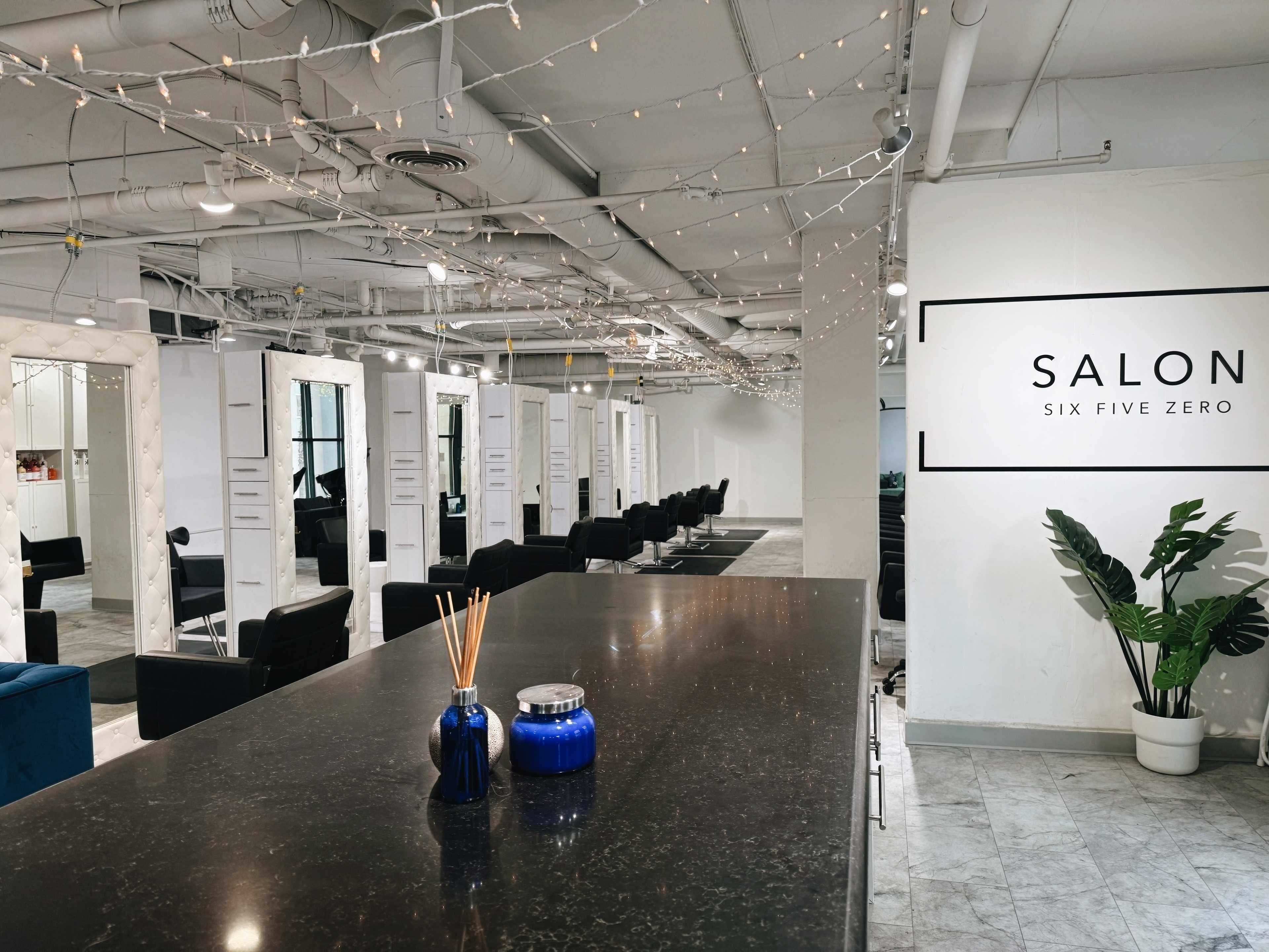Sierra Adam — Salon Decor ONESHOT Hair Awards entry