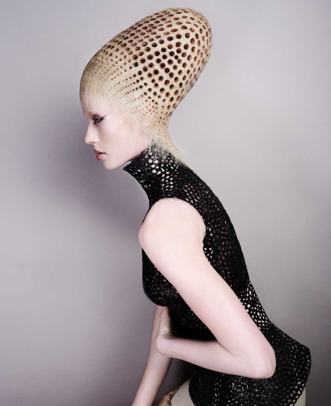 Efi Davies — Avant-Garde Collection ONESHOT Hair Awards entry