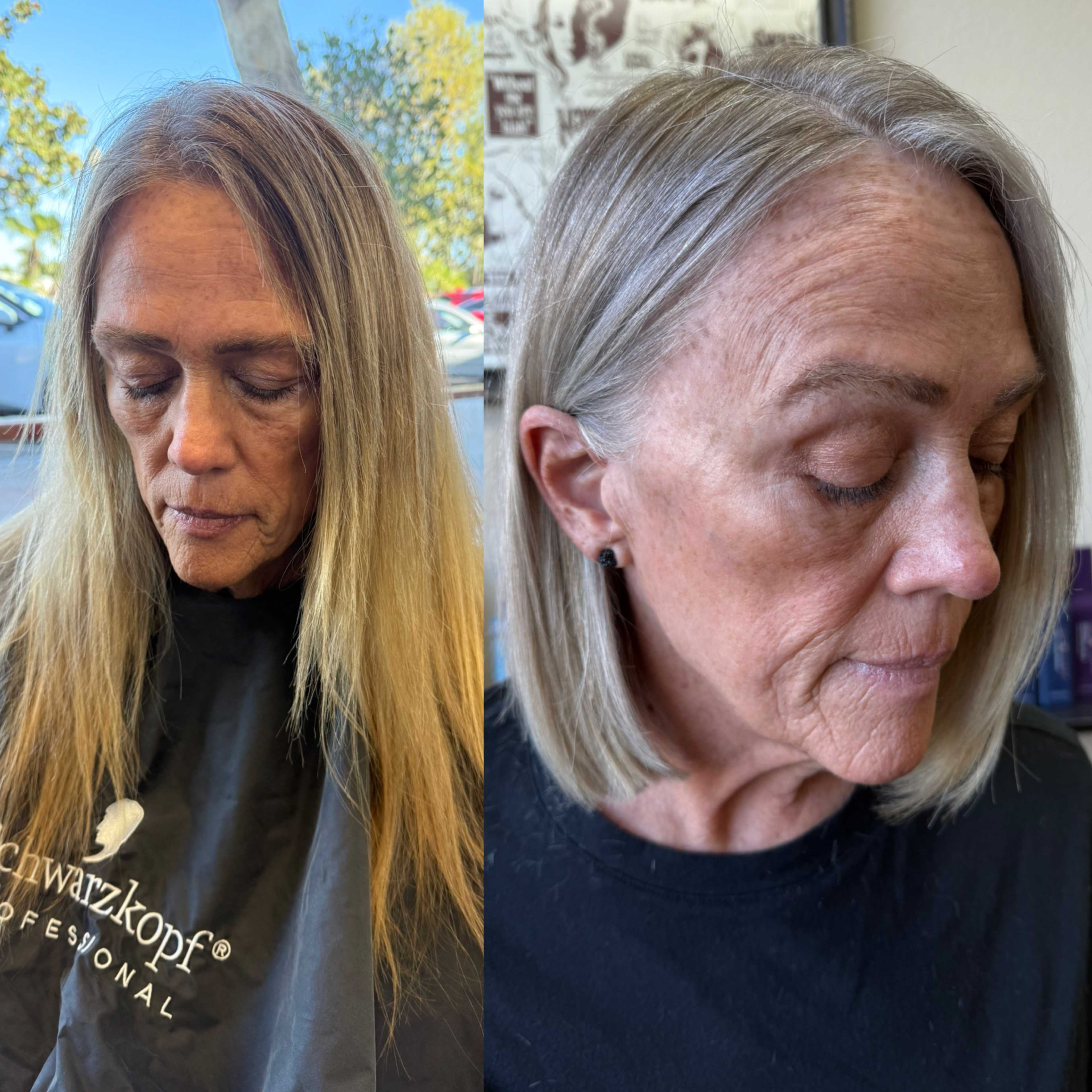 Rebekah Scott — Color Transformation ONESHOT Hair Awards entry